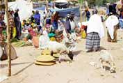 At the market at Dire Dawa. Ethiopia.