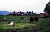 Inle lake area. Myanmar (Burma).