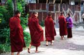 Morning offering. Kalaw village. Myanmar (Burma).