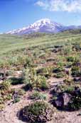 Mt Damavand - the highest mountain of Iran. Iran.