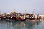 Traditional wooden boats at Busher. Iran.