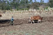 Village south of Addis Abbeba. Ethiopia.