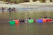 The salt is retrieving from the lake without any mechanization. Salt Lake, El Sod. Ethiopia.