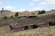 Bale Mountain National Park. South, Ethiopia.