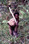 Villager from Dani tribe. Papua, Indonesia.