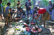 At funeral ceremony. Preparing food for guests. Tana Toraj area. Sulawesi, Indonesia.