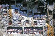Traditional graves at Lemo village. Tau tau figures can be seen at galleries in front of graves. Tana Toraja area. Sulawesi, Indonesia.