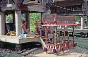 Funeral preparing. Tana Toraja area. Sulawesi, Indonesia.