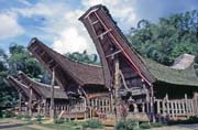 Traditional houses tongkonan, Tana Toraja area. Sulawesi, Indonesia.