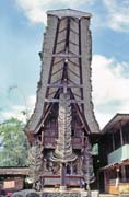 Traditional house tongkonan, Tana Toraja area. Sulawesi,  Indonesia.