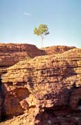 Area called Kings Canyon (Watarrka National Park). Australia.