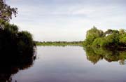 Yellow Water river. Kakadu National park. Australia.