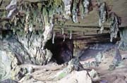 Niah cave. Malaysia.