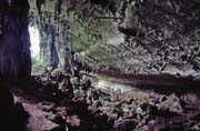 Niah cave. Malaysia.