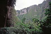 Around Niah cave. Malaysia.