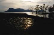 Bako national park. Sarawak,  Malaysia.