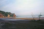 Bako national park. Malaysia.