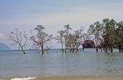 Bako national park. Malaysia.
