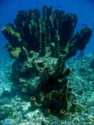 Diving around Togian islands, Una Una, Fishermania/Pinnacle dive site. Sulawesi, Indonesia.