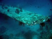Diving around Biak islands, Catalina wreck dive site. Papua,  Indonesia.