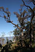 On the way to Mt. Victoria. Chin State. Myanmar (Burma).
