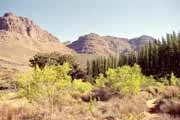 Cederberg Wilderness Area. South Africa.