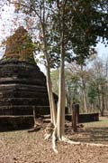 Kamphaeng Phet Historical Park. Thailand.