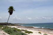 Parque Nacional Pennsula de Guanahacabibes. Cuba.