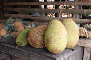 Jackfruit, market at Tomoho village. Sulawesi, Indonesia.