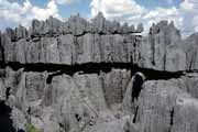 Grands Tsingy, Tsingy de Bemaraha National park. Madagascar.
