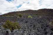 Grands Tsingy, l'Ankarana National park. Madagascar.