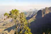 Simien mountains. Around Sankaber camp. North, Ethiopia.