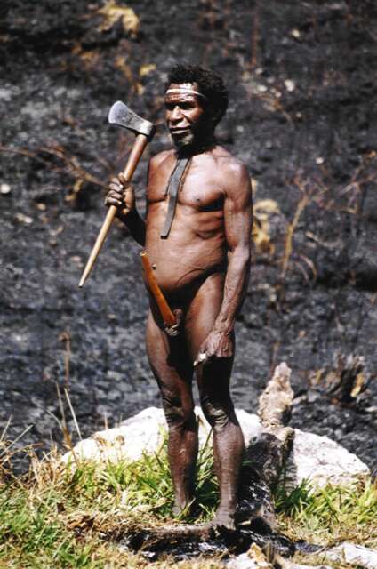 Villager from Dani tribe. Papua,  Indonesia.