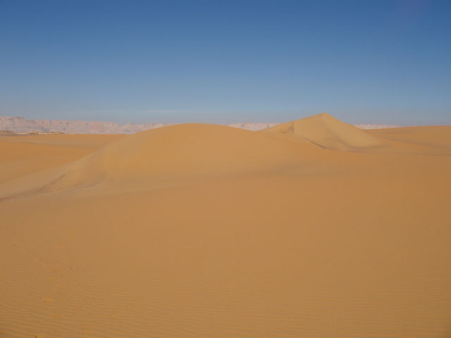 Sand dunes at Sahara desert. Egypt.