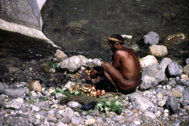 Sweet potatos washing. Papua,  Indonesia.