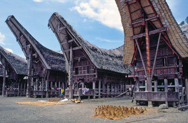 Traditional houses tongkonan, Tana Toraja area. Sulawesi,  Indonesia.
