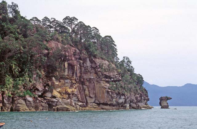 Bako national park. Sarawak,  Malaysia.