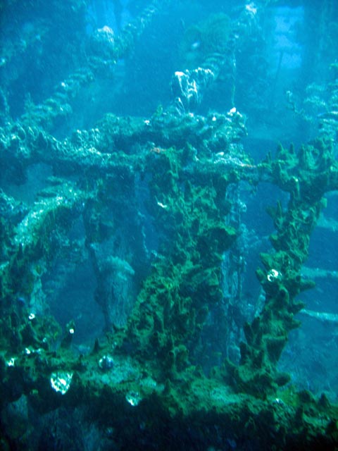 Wrack of steel Dutch merchant ship, sunk in 1942. Diving around Bunaken island, Molas Wreck dive site. Sulawesi,  Indonesia.