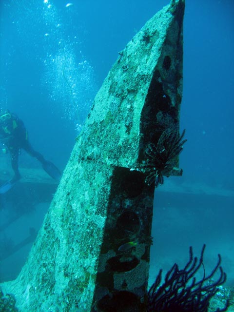 Diving around Biak islands, Catalina wreck dive site. Papua,  Indonesia.