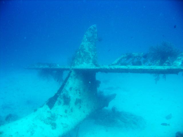 Diving around Biak islands, Catalina wreck dive site. Papua,  Indonesia.