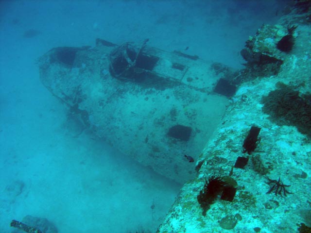 Diving around Biak islands, Catalina wreck dive site. Papua,  Indonesia.