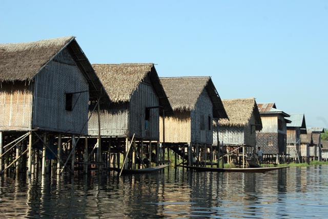 Water life. Inle Lake. Myanmar (Burma).