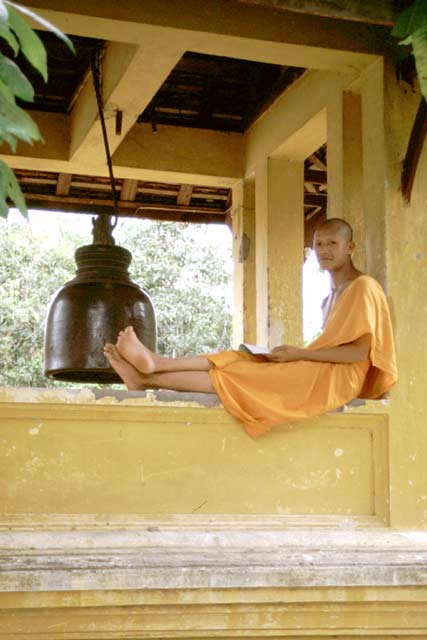 Temple in Luang Prabang. Laos.