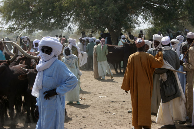 Market at the bank of Chari River. Lake Chad area. Cameroon.