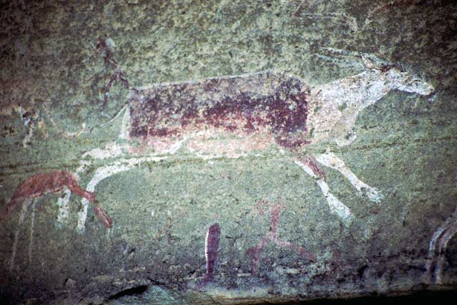 Bushman paintings, Royal Natal National park, Drakensberg. South Africa.