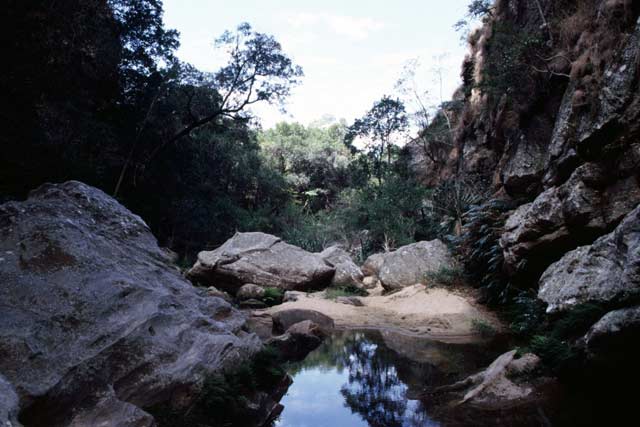 l'Isalo National park. Madagascar.